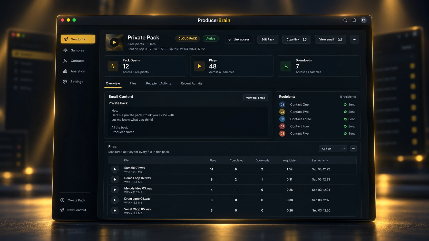 ProducerBrain private pack overview with opens, plays, downloads and listening activity